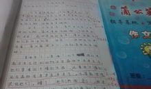 描写夏天夜晚的好段