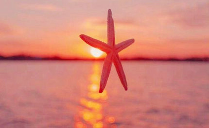 停下来大声哭泣，仍然相信着陆的方式永远是