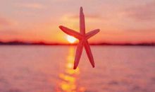 停下来，放声大哭一场，仍然坚信上岸的路一直都会在