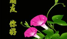 三月经典祝福语