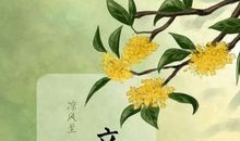 与二十四节气有关谚语