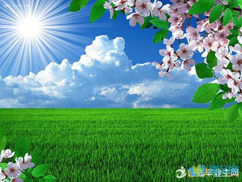 片段描绘了春天的美丽