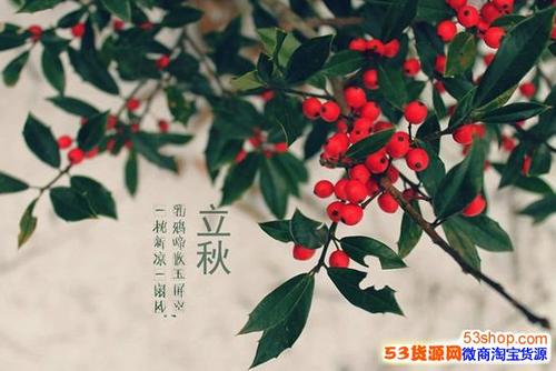 立秋的朋友圈很有趣