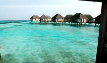 有关赞美大自然的句子