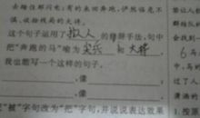 用除了造句大全