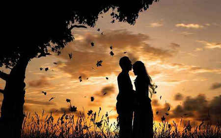 美丽的爱情句子与图片