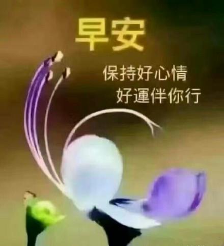 亲爱的早安祝福