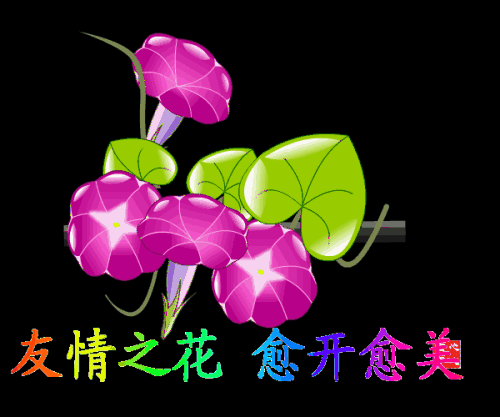 年轻人生日快乐