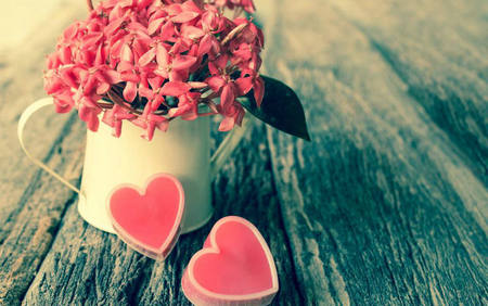 爱与图片的美丽句子1