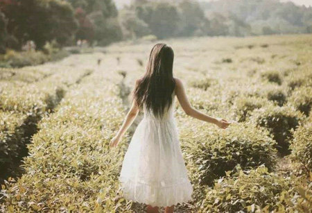 活自己的树，活很多年，活得好，活得好1