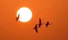 朋友辞别的格言警句