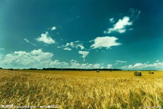 关于该领域的寓言