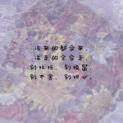 有关家庭感情的句子或著名谚语