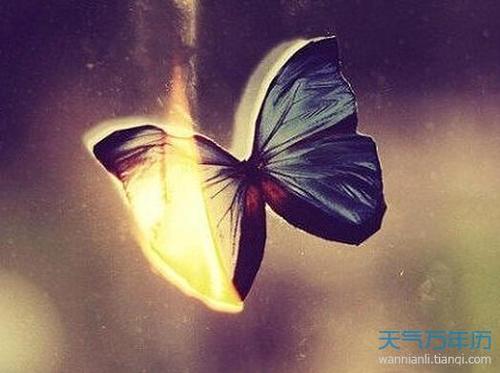 暴雨前的闪电下的寓言