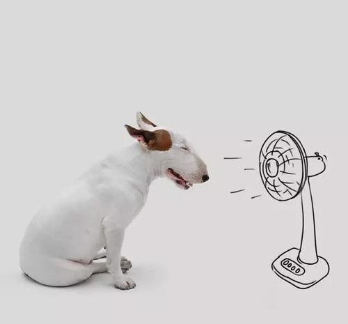 超级好笑的句子