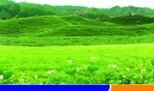 煤矿安全月标语