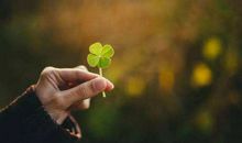 假如你太早相信了命运，那你就输了