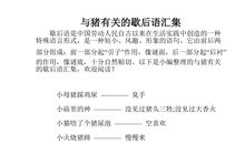 有人名的歇后语大全