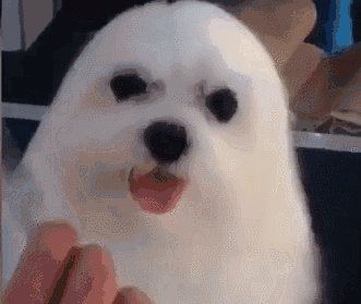 在电线杆上玩花样