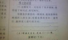 理想如排比句