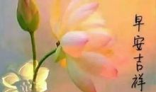 朋友圈早上好祝福语