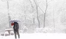 大雪纷飞的句子