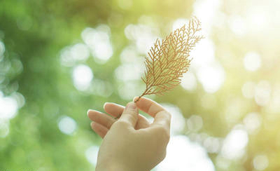 哲学上的一句话使人们变得充满阳光：生活是面对现实和微笑，克服障碍并展望未来1