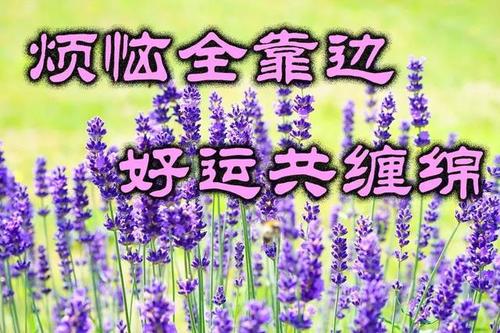 秋季周末的祝福