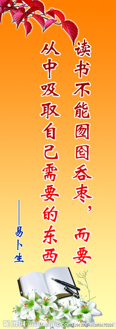 关于学习谚语的8个单词