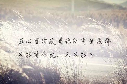 表达无助感的句子