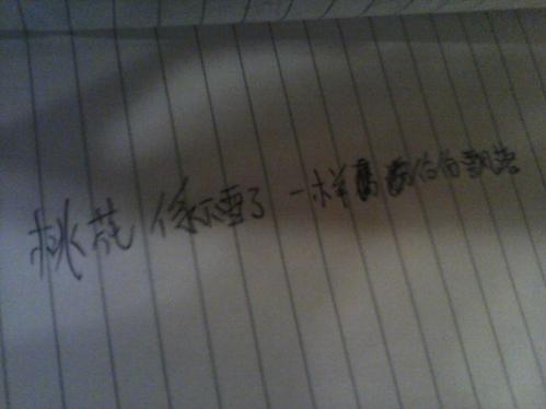 关于桃花的寓言