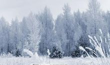 冬天的雪景比喻句