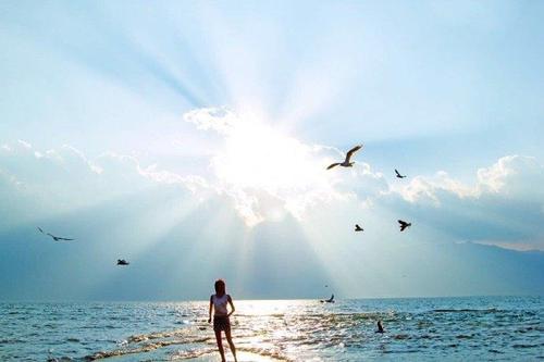 赞扬妇女实现经济独立