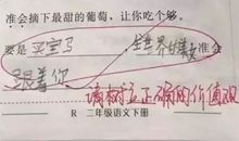 二年级竟然造句大全