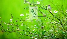 春分节气祝福语