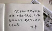 抖音上温暖的句子