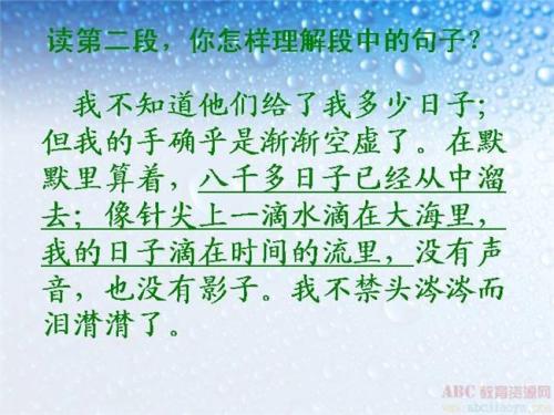 书中的平行句子