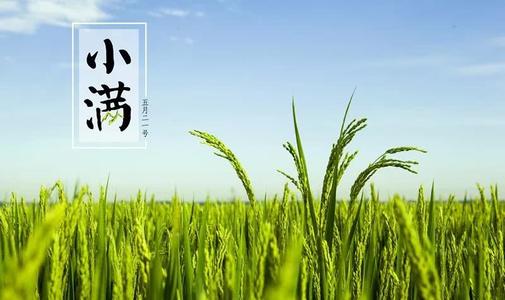 关于小满的谚语