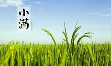 关于小满的谚语