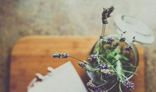 我不后悔的句子