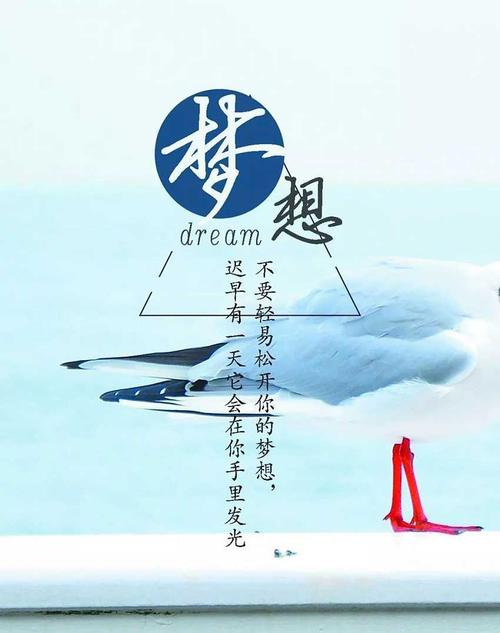 关于奋斗的句子