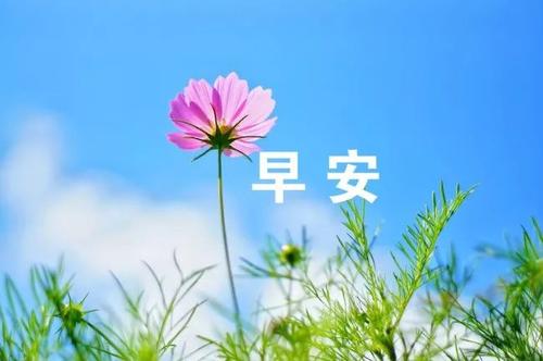 节日问候