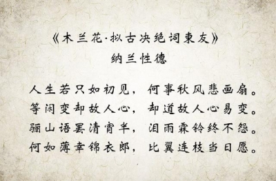 非常爱丈夫的句子