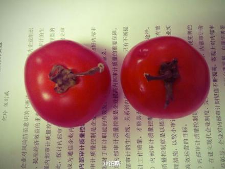西红柿的寓言