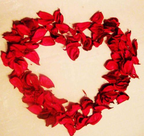 狗年的情人节祝福