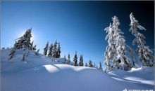 冬天雪景的句子