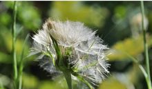 形容水花的比喻句