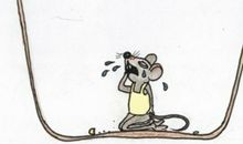 老鼠拖西瓜歇后语