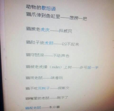 牛吃破草帽的寓言