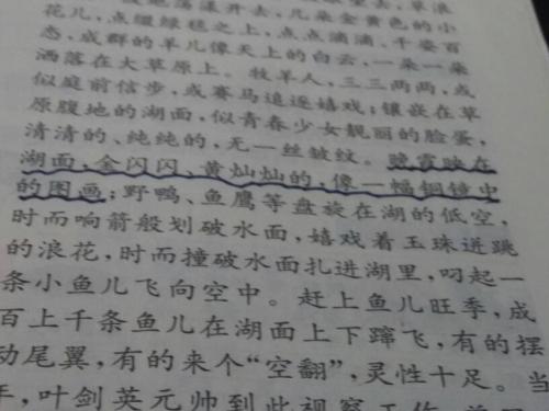 关于月光的寓言